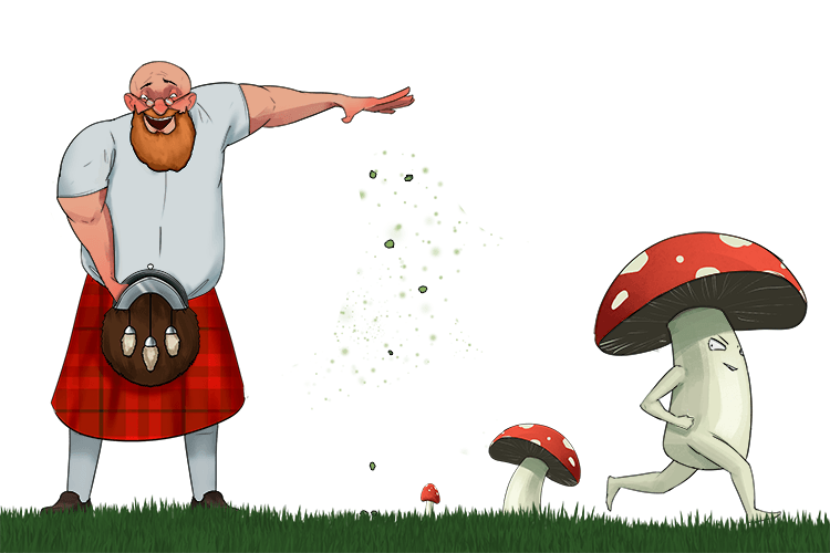 The Scotsman reached into his sporran (spore) and threw tiny one-celled units into the air which landed and developed into new individuals